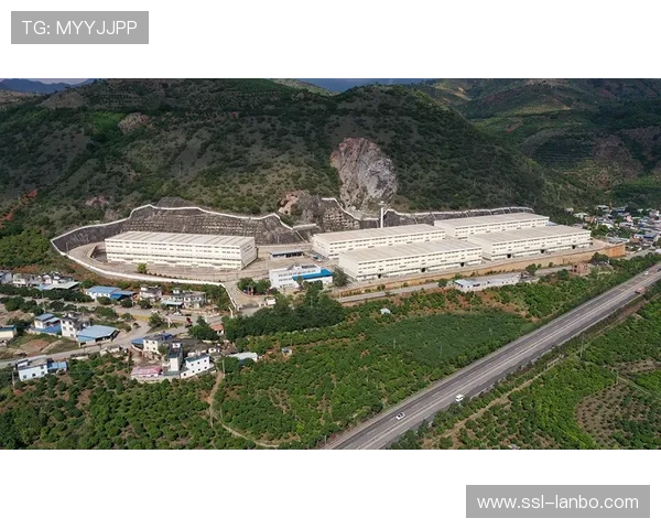 大学医学院与科罗拉多急流联合攻关脑震荡防护技术