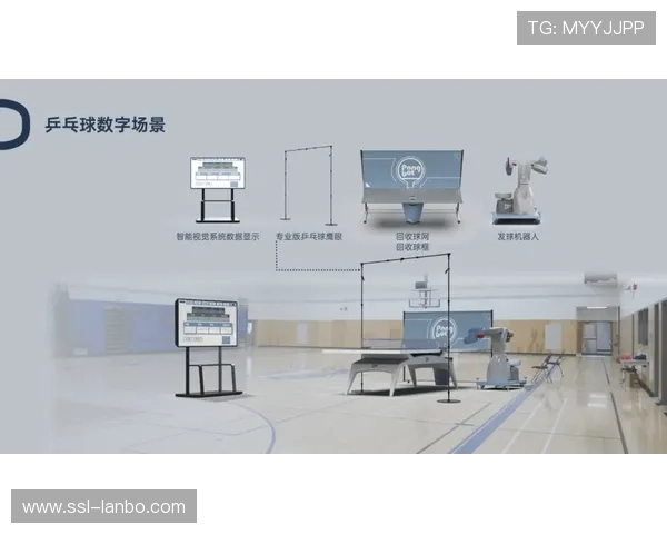 体育数字资产合规使用指南本月覆盖主要场景