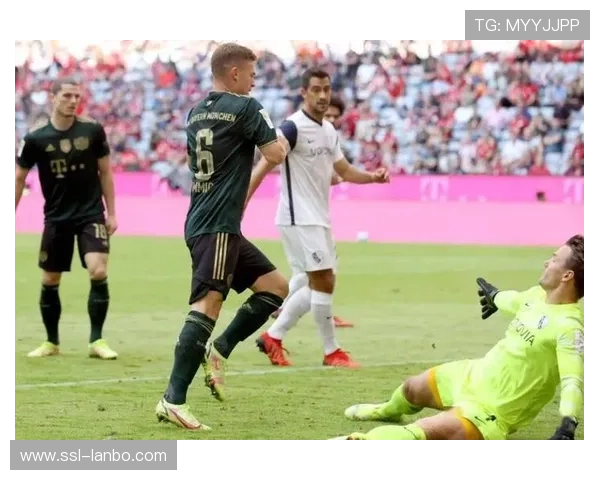 波鸿vs达姆斯塔特:客队争冠势头猛,主队保级压力大